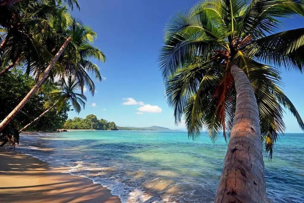 Roca Mar Rocawelch Puerto Viejo Puerto Viejo de Talamanca Exterior foto